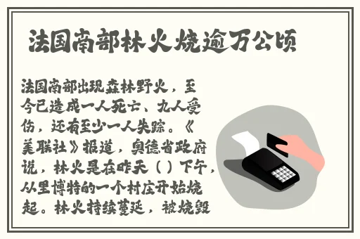 让我看看你茂密的小森林